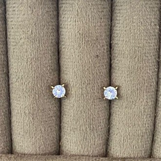 Detalhes do produto Brinco Ponto de Luz 4 Garras