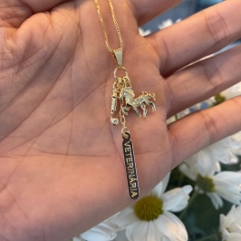 Pingente Profissão Veterinária