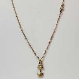 Colar Halteres Academia Com Ponto De Luz