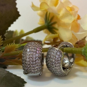 Argola De Click Cravejada Com Cristal
