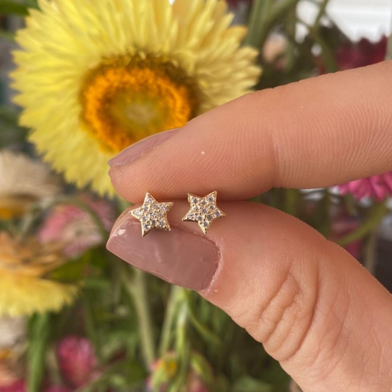 Brinco Estrela Cravejada