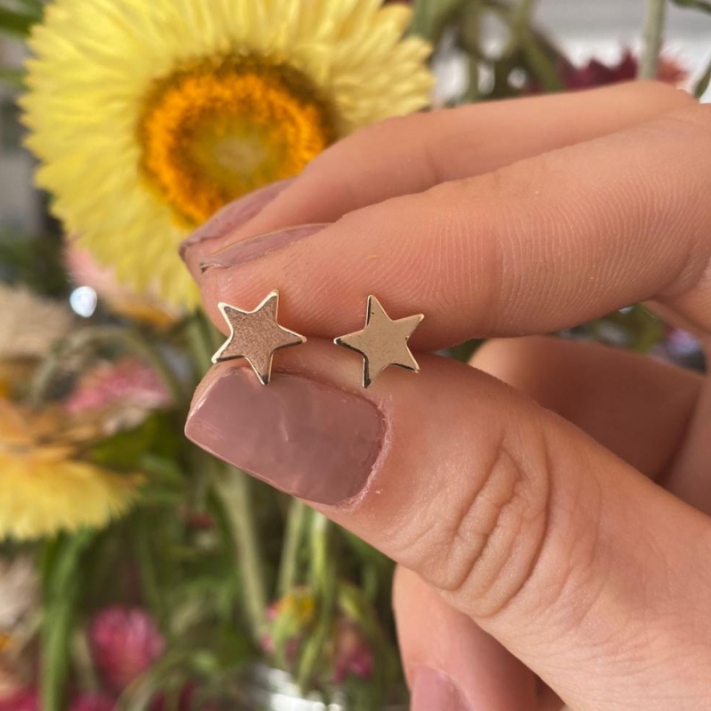 Brinco Estrela Grande Lisa