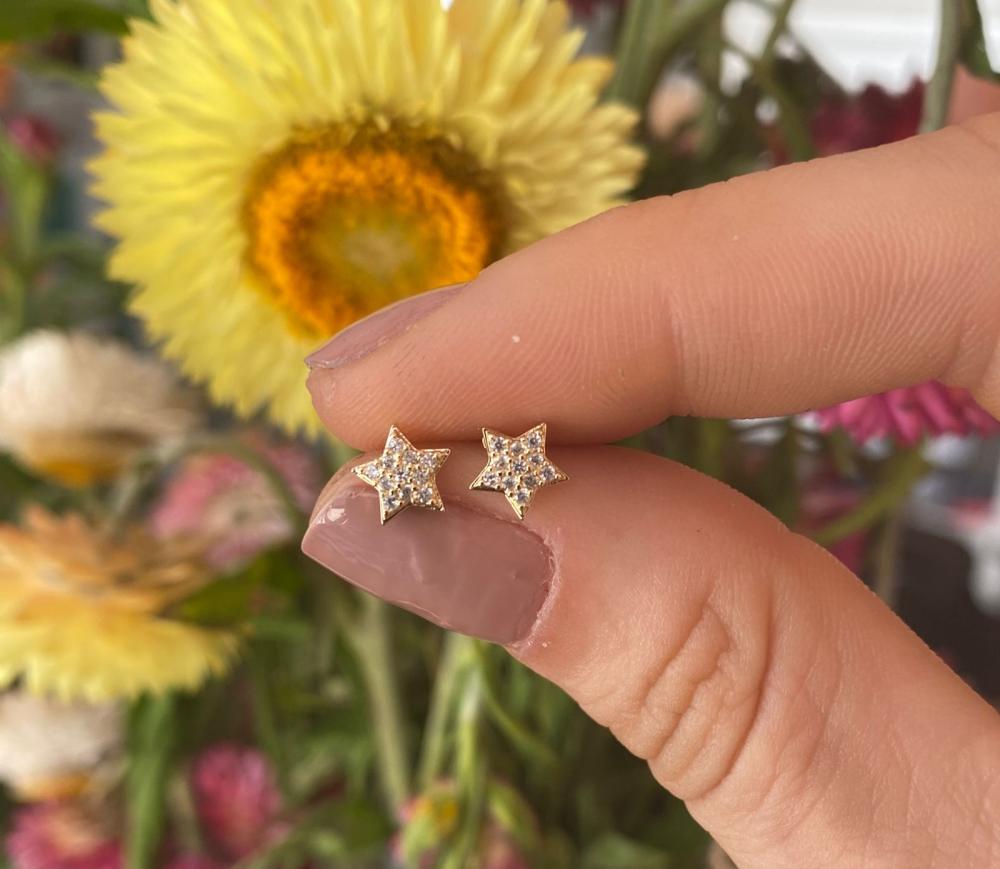 Brinco Estrela Cravejada