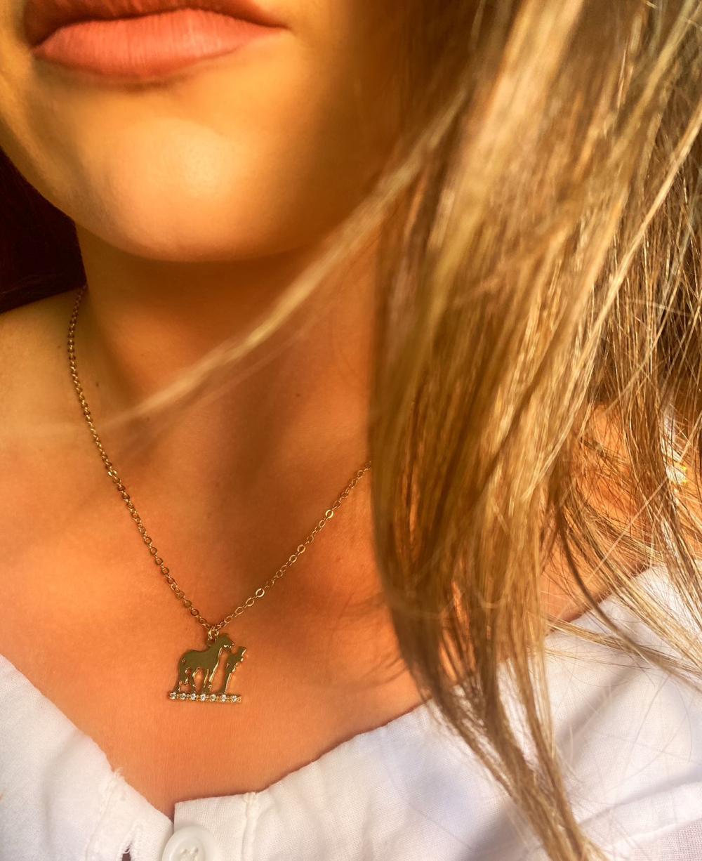 Colar homem com cavalo